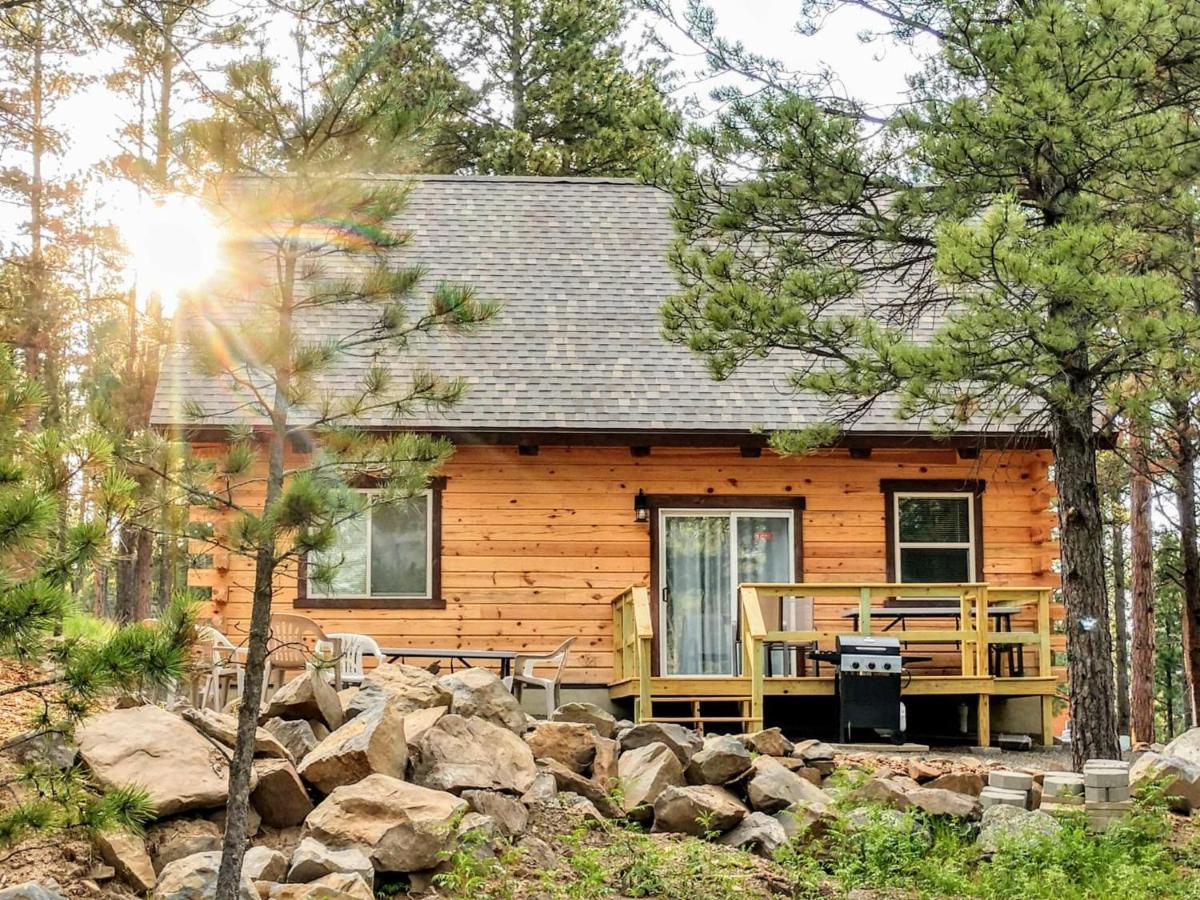 Freedom Ridge Cabins Гілл-Сіті Екстер'єр фото